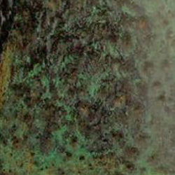 NAVAZI