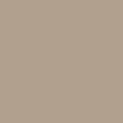 FLIGHT SHADOWS