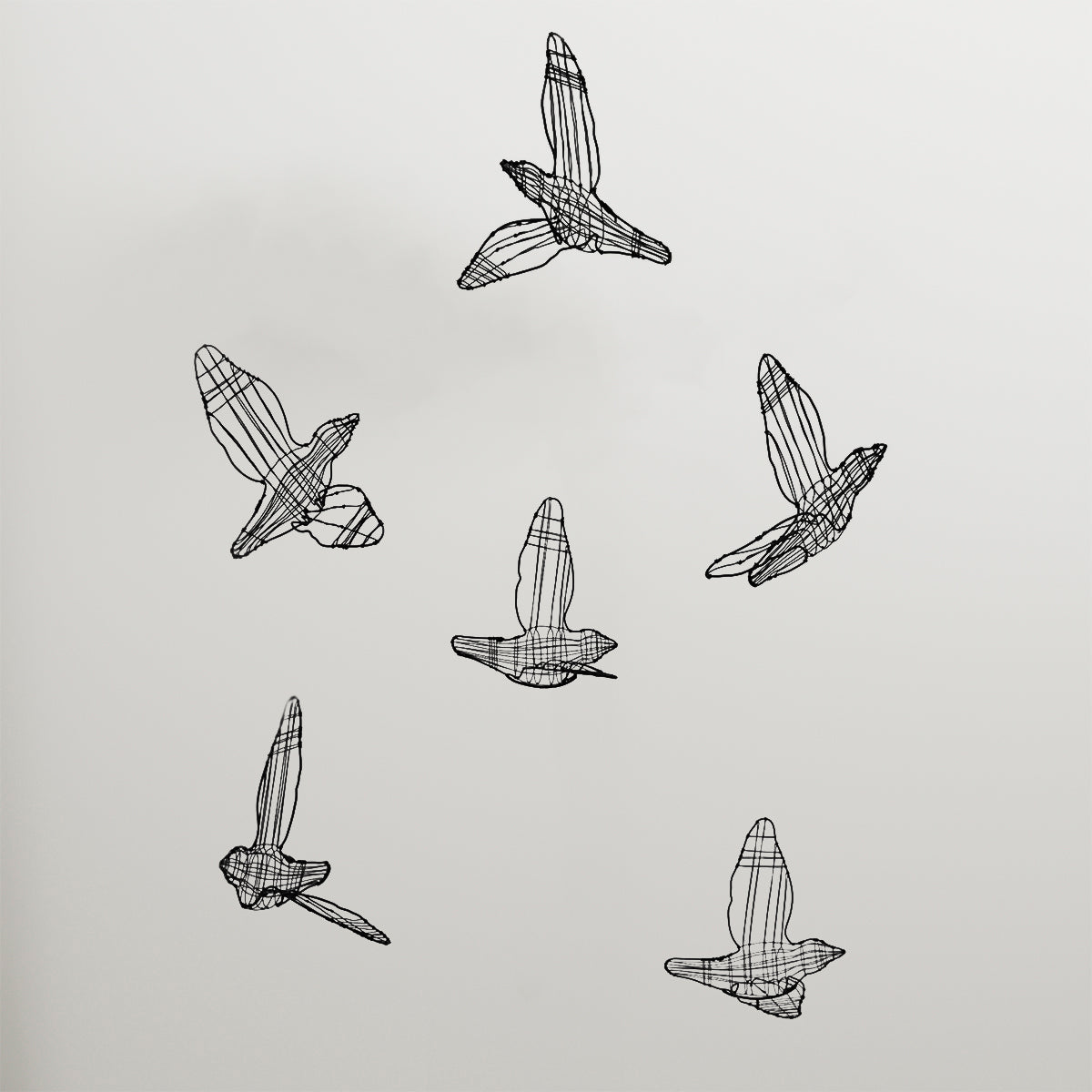 FLIGHT SHADOWS