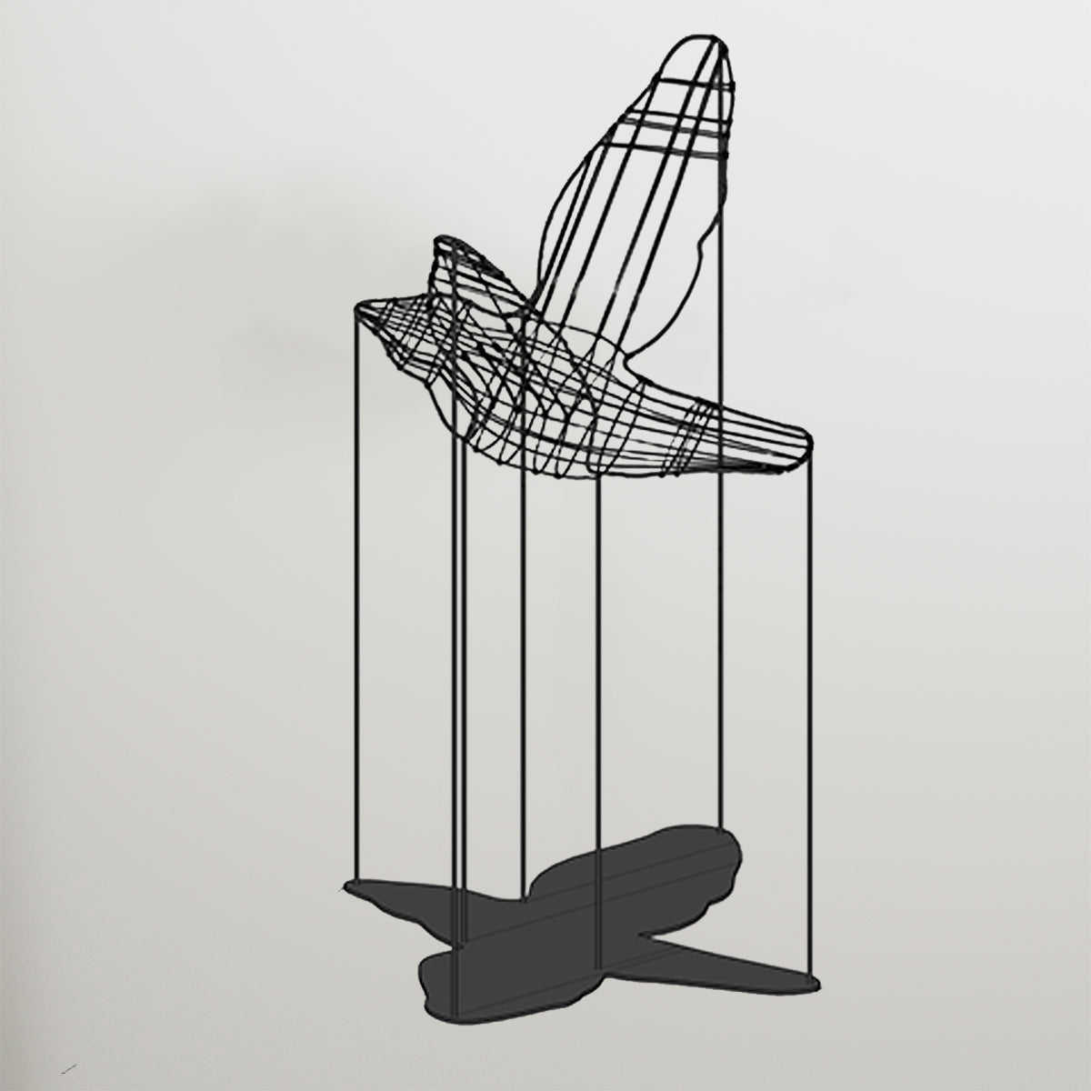 FLIGHT SHADOWS