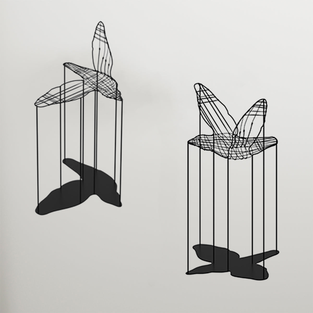 FLIGHT SHADOWS